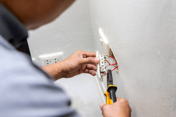 Best Electrical Troubleshooting Services  in Dundee, FL